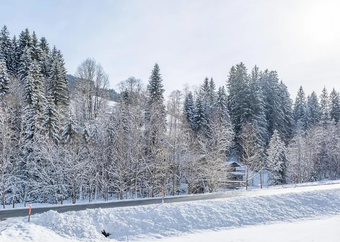 Blick Auf Den Rettenstein 2 Appartement Kirchberg en Tyrol