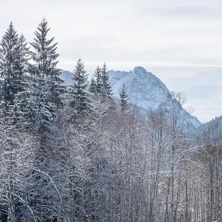 Blick Auf Den Rettenstein 2 Lejlighed Kirchberg in Tirol