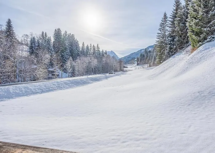 Apartment Blick Auf Den Rettenstein 2 Kirchberg in Tirol