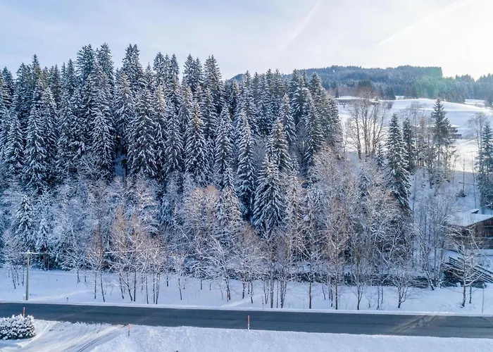 Blick Auf Den Rettenstein 2 Apartment